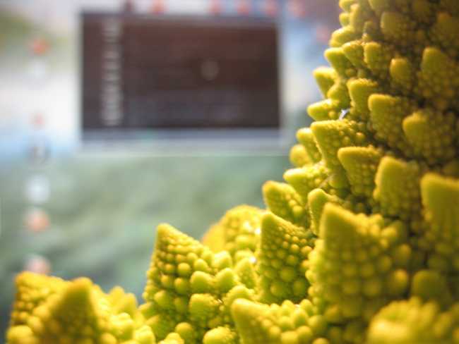 romanesco1